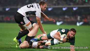 South Africa vs Wales LIVE: Springboks demolishing Welsh team