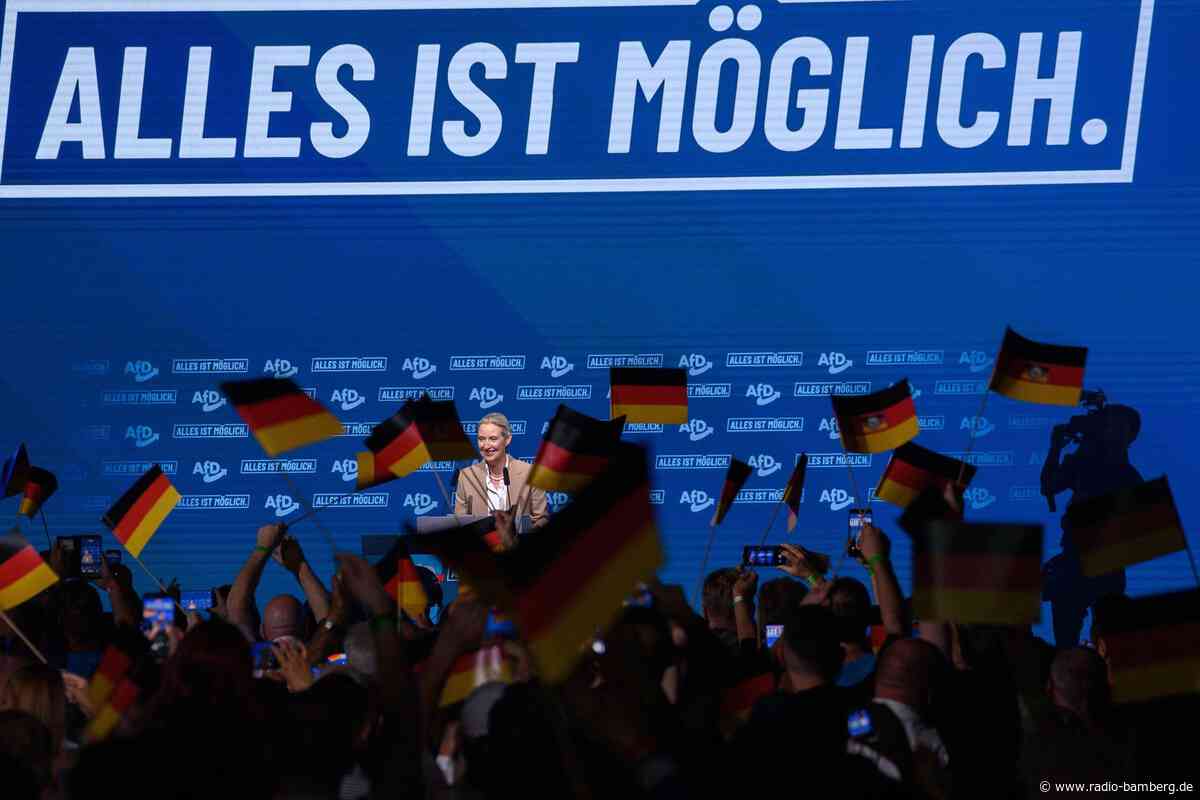 AfD startet Wahlkampf in Sachsen-Anhalt