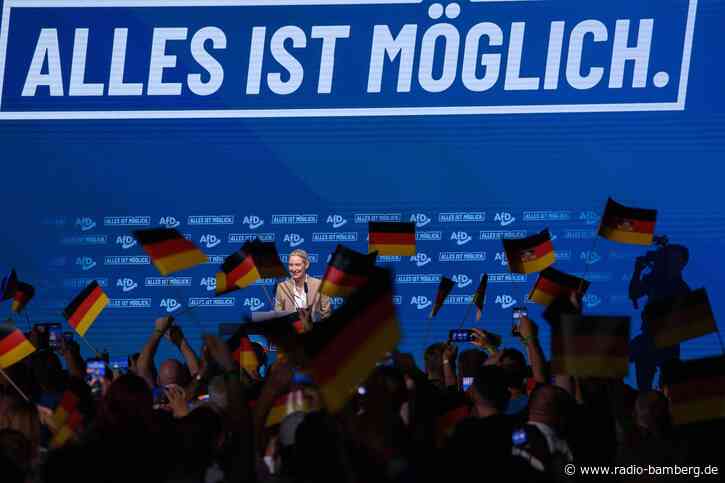 AfD startet Wahlkampf in Sachsen-Anhalt