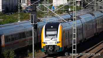 Security guard, 26, falls from 75mph train in Germany after 'brutal' attack by passenger during ticket check