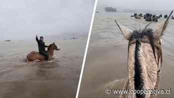 Crianceros evacuaron sus caballos ante crecida de un río en Arauco