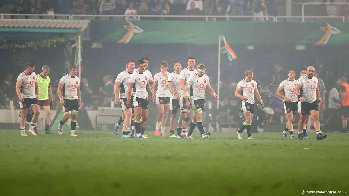 Wales cannot take any positives from Springboks destruction - that's the truth