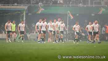 Wales cannot take any positives from Springboks destruction - that's the truth