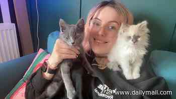 Pregnant mother-of-two is blinded and her cat killed when her pets are 'poisoned by heroin' - as police arrest woman, 32
