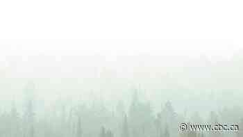 Wildfire tally grows to 191 in northern Ontario