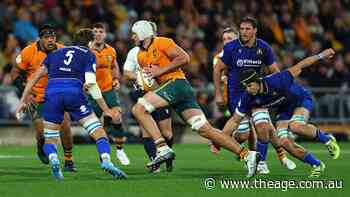 Wallabies player ratings: How the men in gold performed