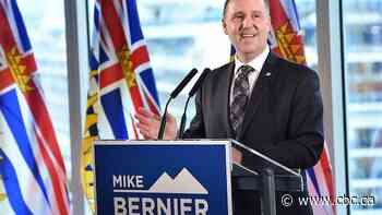 Former B.C. Liberal MLA says centrist party is the answer for voters tired of 'extremes'