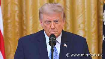 Donald Trump's alarming week with election rigging fears and armchair football punditry