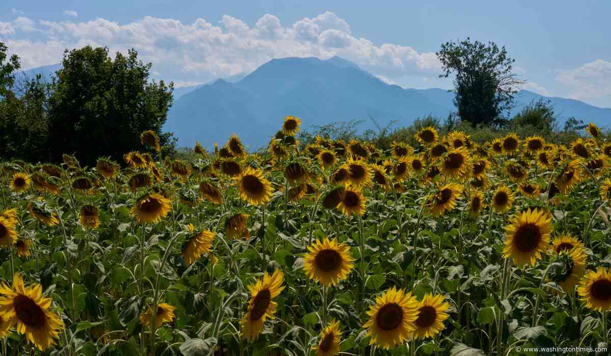 Mount Olympus, home of the ancient Greek gods, vies for World Heritage status