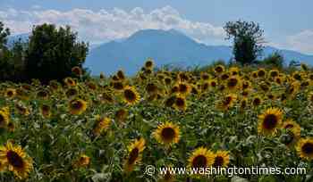 Mount Olympus, home of the ancient Greek gods, vies for World Heritage status