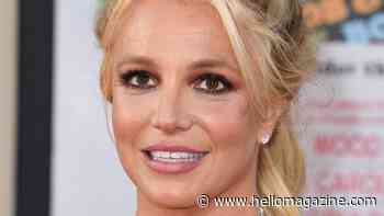 Britney Spears' son, 19, breaks silence over claims singer is a 'clone' and no longer alive