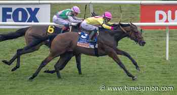 Kathynmarissa extends Chad Brown's dominance in Saratoga's Diana Stakes