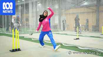 'We didn't give up': Afghan women's refugee cricketers celebrate ICC decision