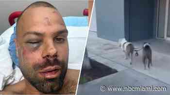 ‘Got my arm badly bit': Man recovering after being attacked by 2 pit bulls in Wynwood