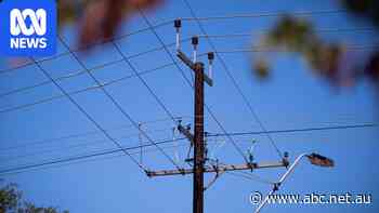 New energy scheme adding to bills, SA government admits