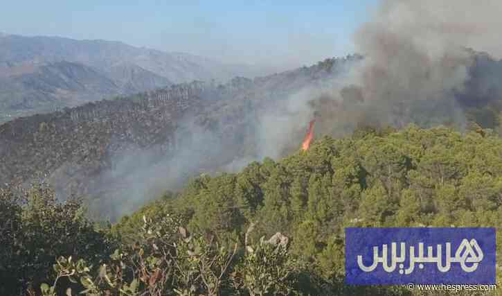 اندلاع ثلاثة حرائق يُفقد المغرب حوالي 600 هكتار من الغابات خلال 3 أيام