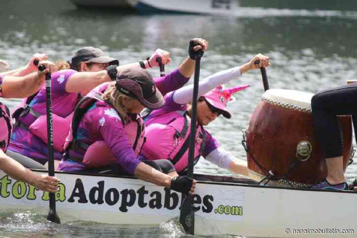 Spotlight shines on breast cancer survivors at Nanaimo dragon boat races