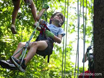 Photo Gallery: Ohio Bat Blitz tree-climbing