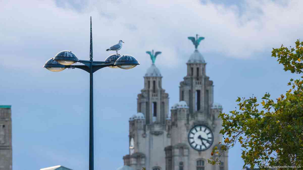 Seven wonderful things Liverpool has given to the world you might never have known