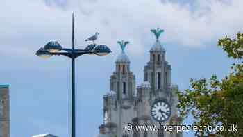 Seven wonderful things Liverpool has given to the world you might never have known