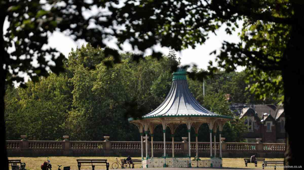 'Peaceful' Newcastle park described as 'an oasis in the middle of the city'