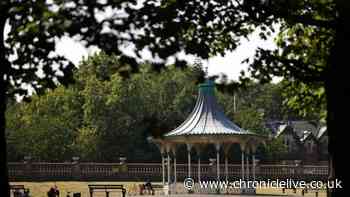 'Peaceful' Newcastle park described as 'an oasis in the middle of the city'