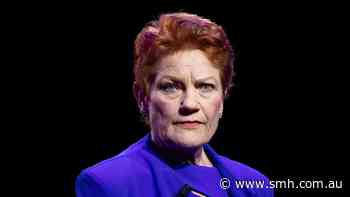 ‘Do not apologise for being white’: Hanson takes aim at privilege and trans rights