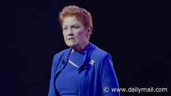 Pauline Hanson blasts 'stupid' Australian authorities in broad spray against trans rights, immigration and white guilt: 'Do not apologise'
