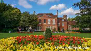 Bedding flowers in parks and road verges fall victim to biodiversity drives as councils switch to hardier perennials