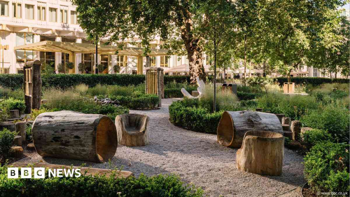 Grosvenor Square reopens as biodiverse city haven