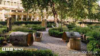 Grosvenor Square reopens as biodiverse city haven