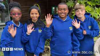 Primary pupils say learning sign language is 'fun'