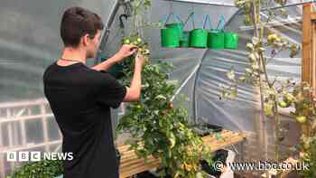 Community growing and cooking programme gets £344k