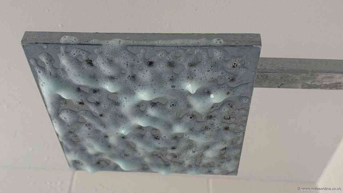 I cleared stubborn shower head limescale in minutes with 1 Home Bargains spray