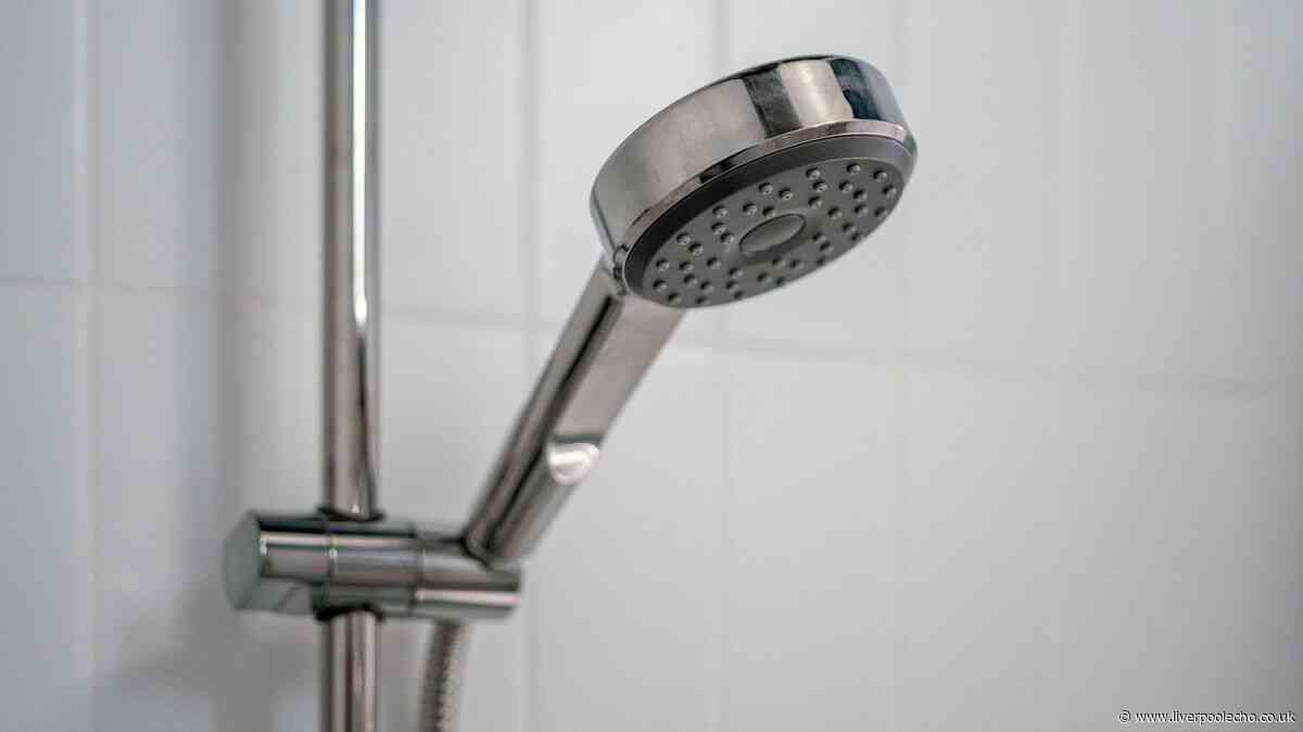 I removed years of limescale from my shower head using 1 Home Bargains spray
