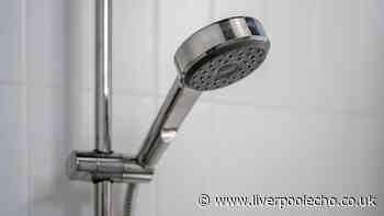 I removed years of limescale from my shower head using 1 Home Bargains spray