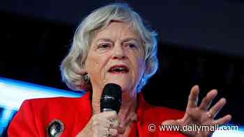 MI5 urged MPs to build safe rooms at home just three months before Ann Widdecombe was killed in 'targeted' attack