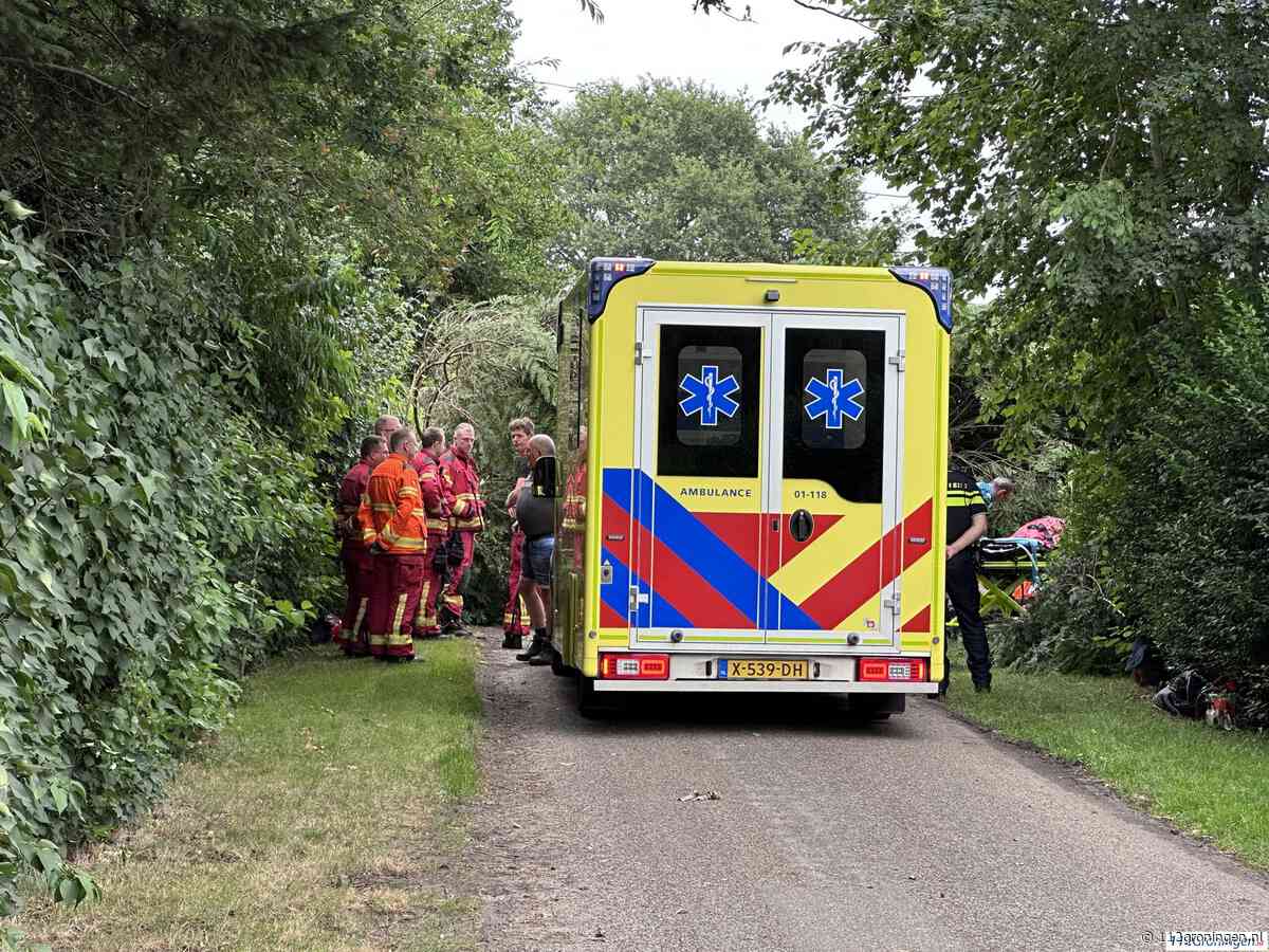 Man gewond bij boomongeval in Vriescheloo