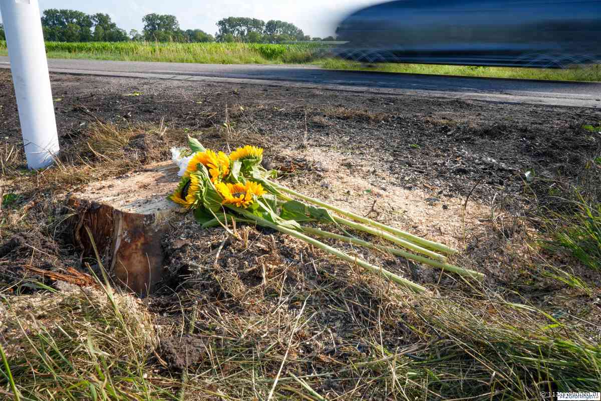 Bloemen neergelegd op plek van dodelijk ongeluk Den Ham