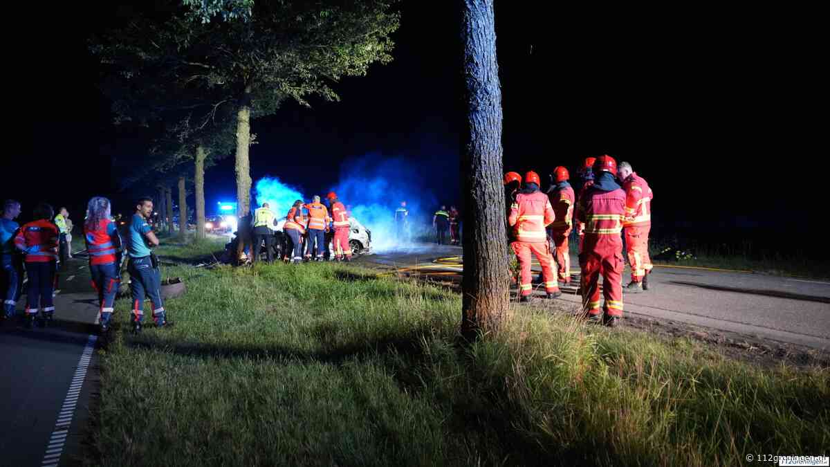 Het gaat `te vaak fout` op de N983 bij Den Ham (Video)