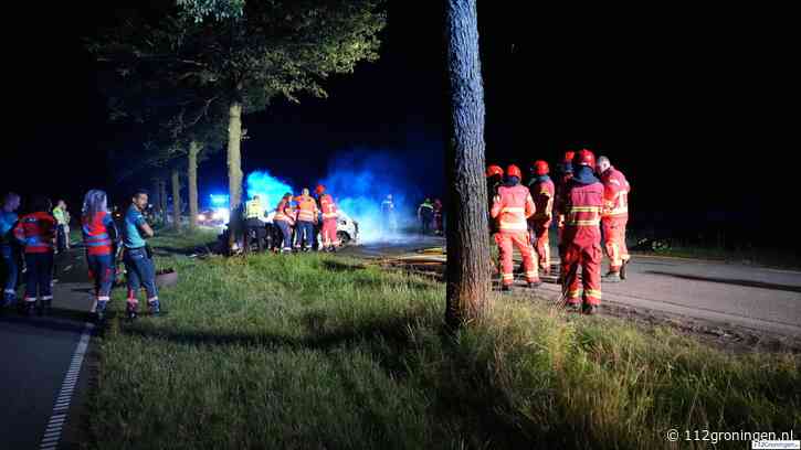 Het gaat `te vaak fout` op de N983 bij Den Ham (Video)