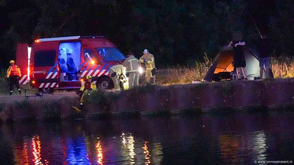 Ree schrikt van honden en springt in kanaal, redding komt te laat voor dier