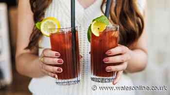 Experts share the perfect 5-step method for making iced tea at home