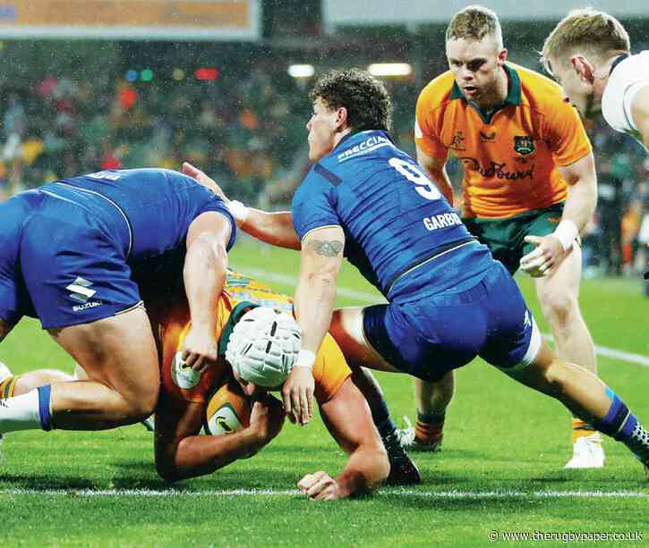 Relentless Wallabies go on rampage