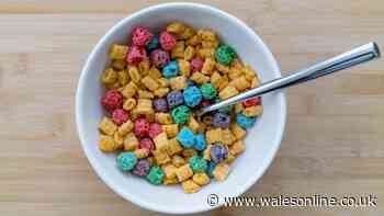 Difference between fruit sugar and added sugar explained