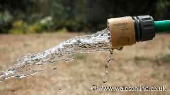 Hosepipe ban begins in Wales, who is exempt and what to do if you catch a neighbour using water