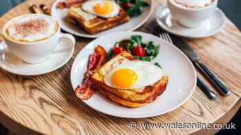 Make 'perfect' fried eggs in just 1 minute – no frying pan needed