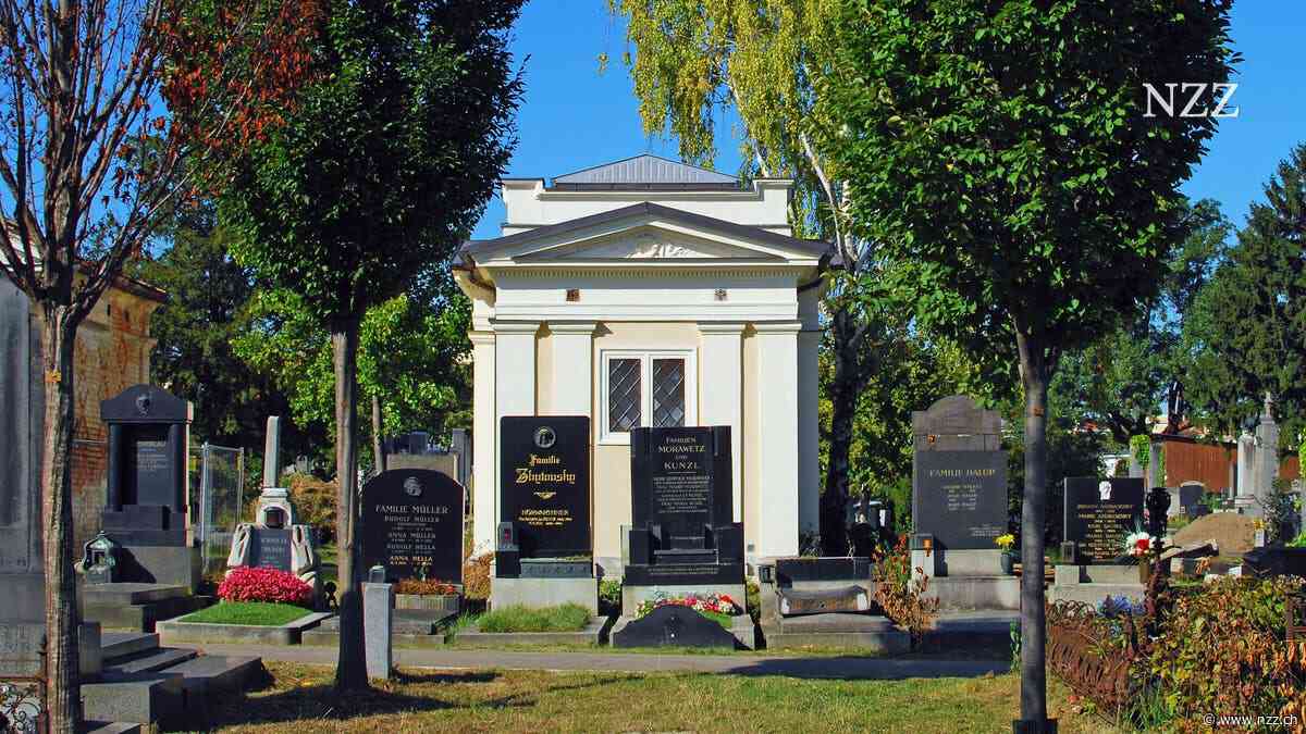 Darüber spricht Wien: Klimmzüge auf dem Friedhof – «pietätlos» oder «fit für das Grab»?