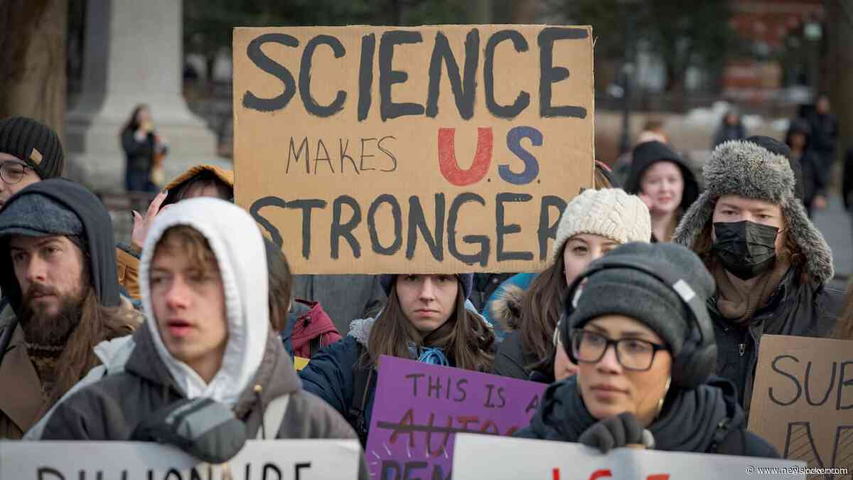 Amerikaanse topwetenschapper zoekt toevlucht in Nederland: 'Ga niet meer terug'