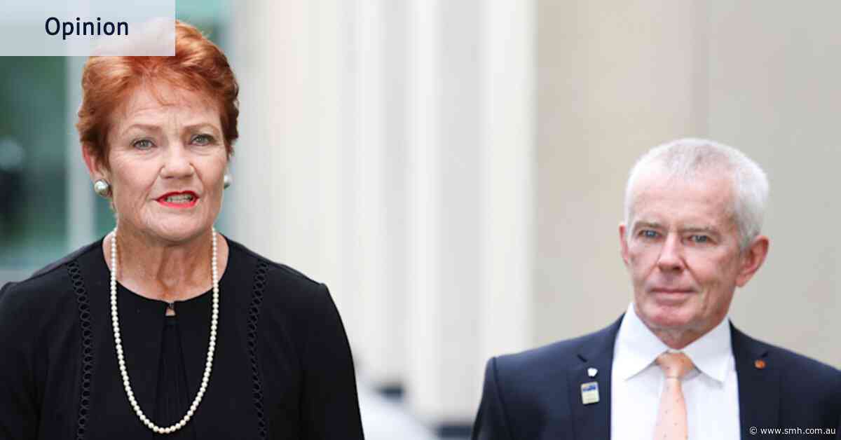 When Hanson’s supporters examine all her policies, what they find could ‘horrify’ them